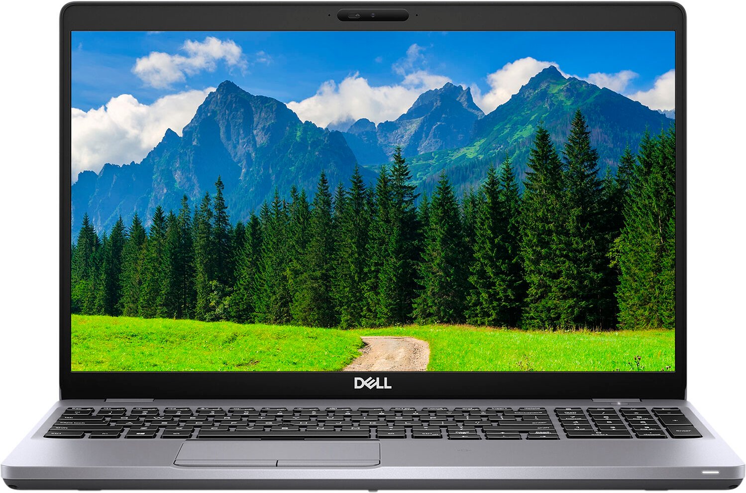 Ноутбук Dell Latitude 5511 Silver (N099L551115UA_WP) ᐈ Купить