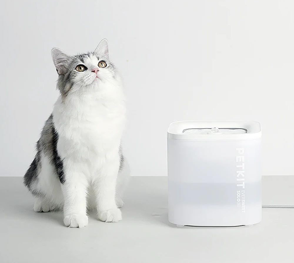 Поилка PETKIT Eversweet Solo SE Smart Pet Drinking Fountain. Купить Поилка  PETKIT Eversweet Solo SE Smart Pet Drinking Fountain по низкой цене в  Киеве, Харькове, Одессе, Днепре, Николаеве, Запорожье, Украине | Цитрус