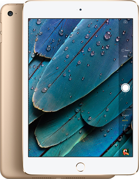 Apple iPad mini 4 128Gb WiFi+4G Gold (MK782) ᐈ Купить Apple iPad