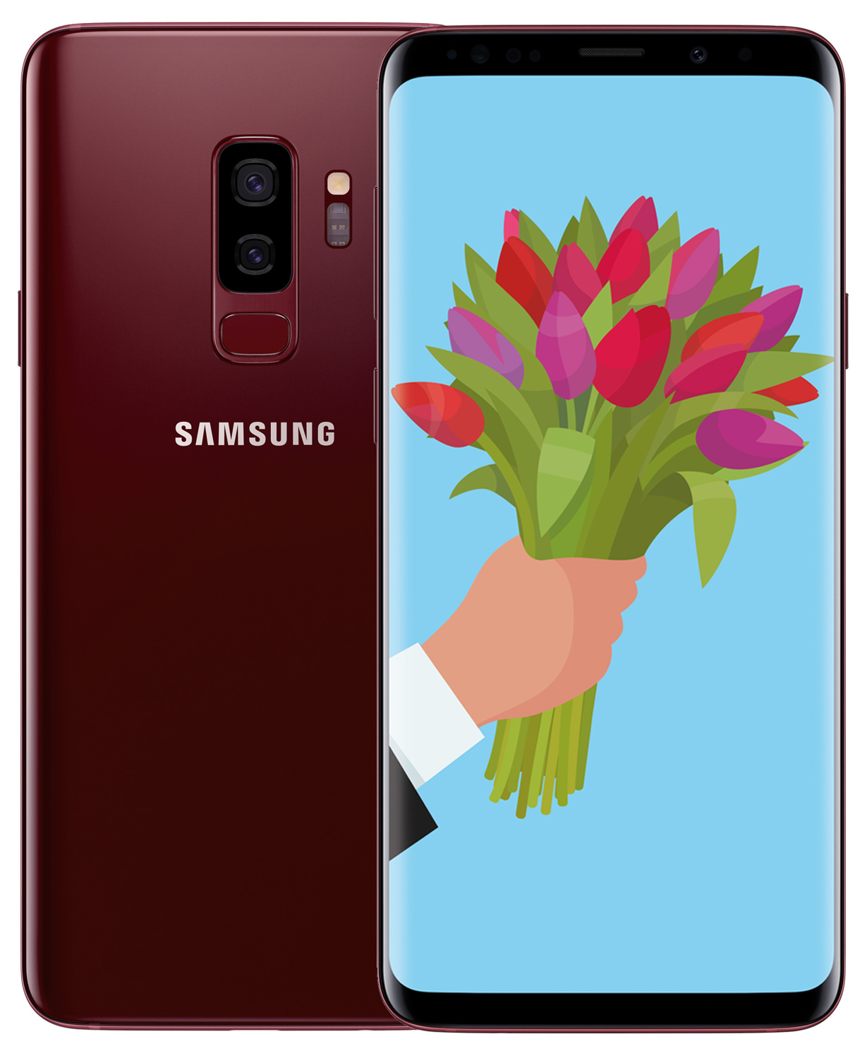 Samsung Galaxy S9+ 2018 G965F 6/64Gb Burgundy Red (SM-G965FZRDSEK