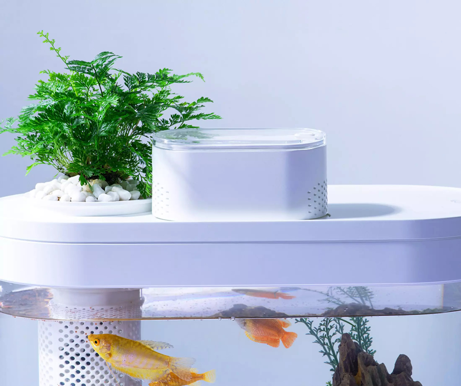 Акваріум Descriptive Geometry Eco Fish Tank Pro (White) HF-JHYJ007