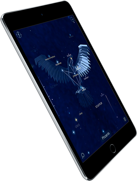 Apple iPad mini 4 128Gb WiFi+4G Space Gray (MK762) ᐈ Купить Apple
